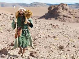 wp-1464955916353 image